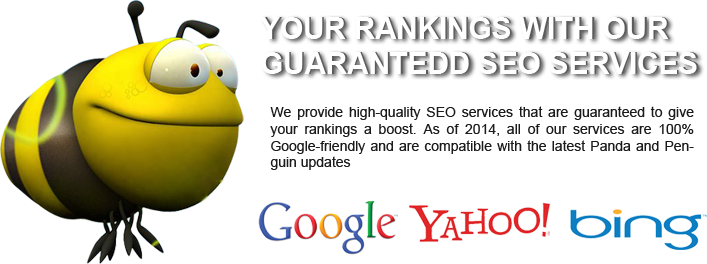 Best SEO Package & services Provider Company